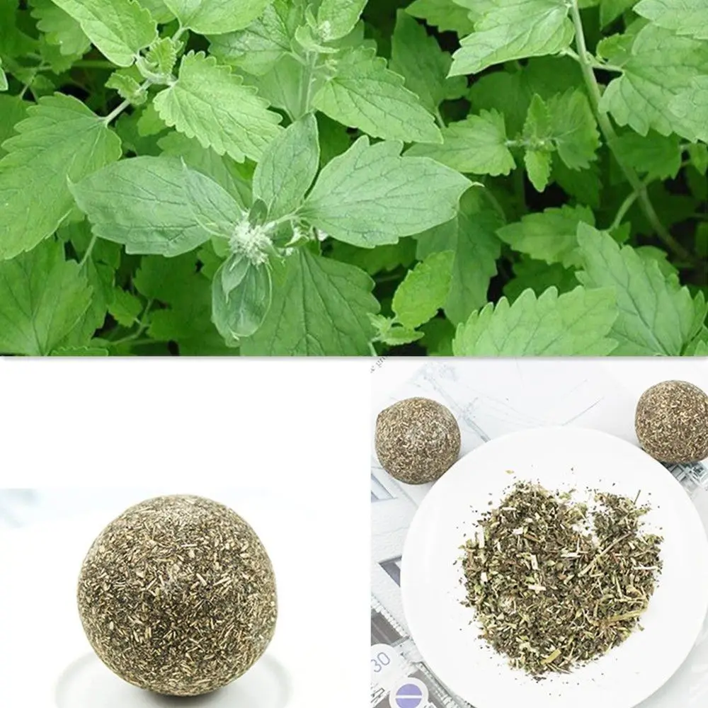 Безопасная натуральная кошачья мята для кошек игрушки лечения шариков