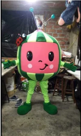 

Watermelon fruit Mascot Costume Fancy Dress Adult Size