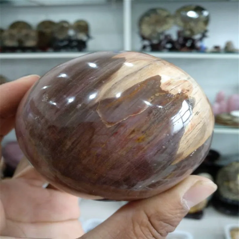 

70mm Natural Petrified Wood Fossil Ball Polished Specimen Madagascar