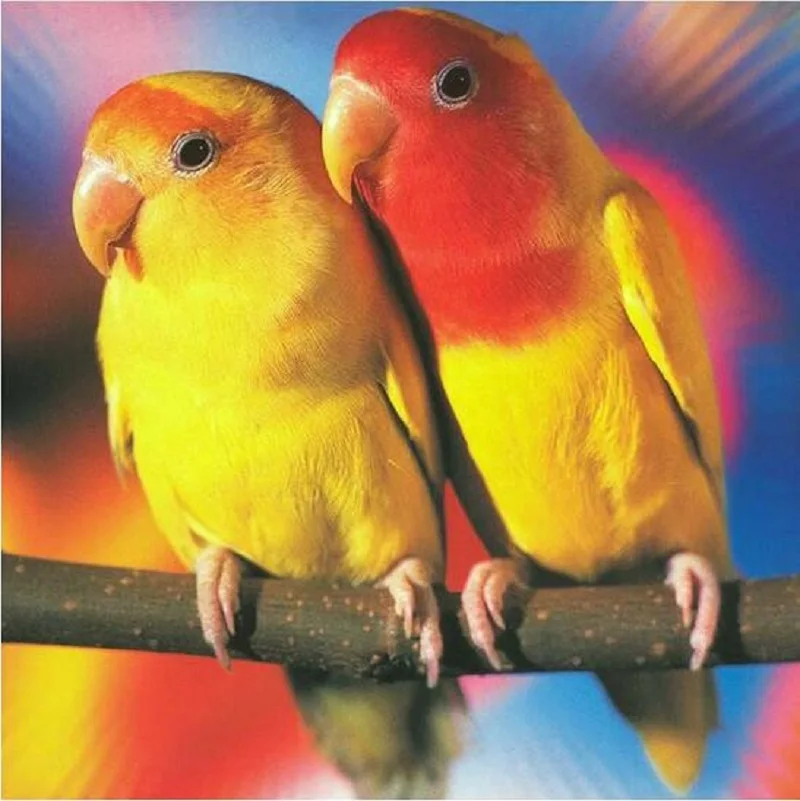 

5D Full Drill Diamond Yellow Parrot Lovers Pictures Of Diamonds Cross Stitch Diamond Painting Options Home Decoration Crafts