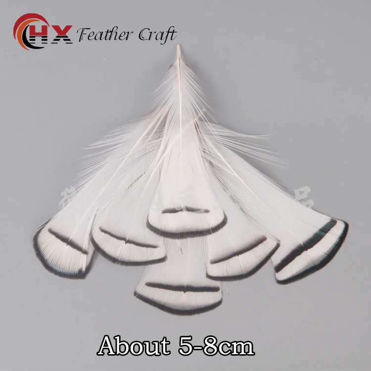 Перья страусиного фазана для рукоделия сделай сам натуральные перья павлина