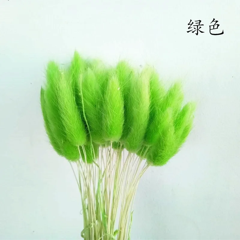 60 шт. кролик трава памп засушенные цветы Кролик хвост натуральные растения