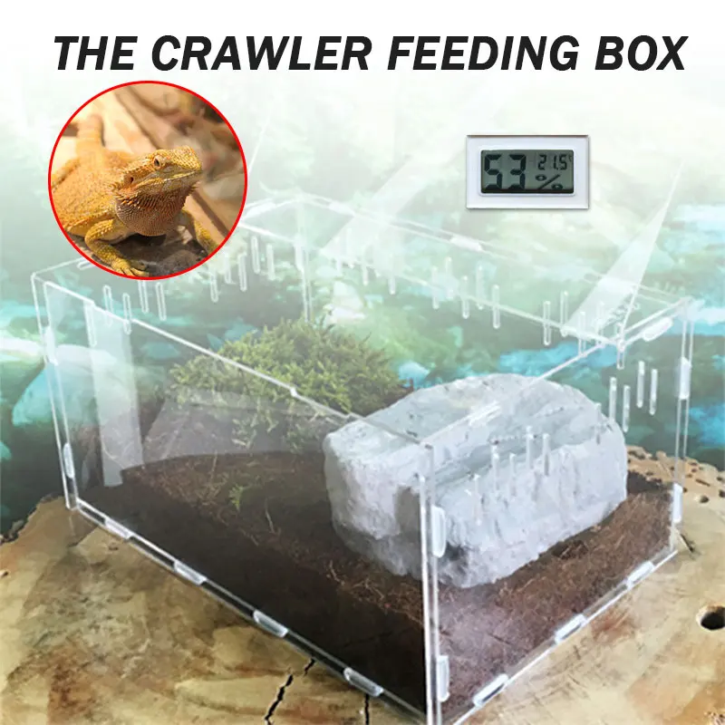 

Reptile Breeding Box with Thermometer Acrylic Spider Lizard Scorpion Cold Blood Animal Assembl Pet Insect Terrarium Transparent