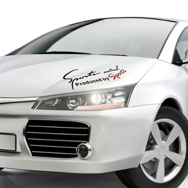 Пара стикеров для автомобилей внедорожников видов спорта виниловые графические