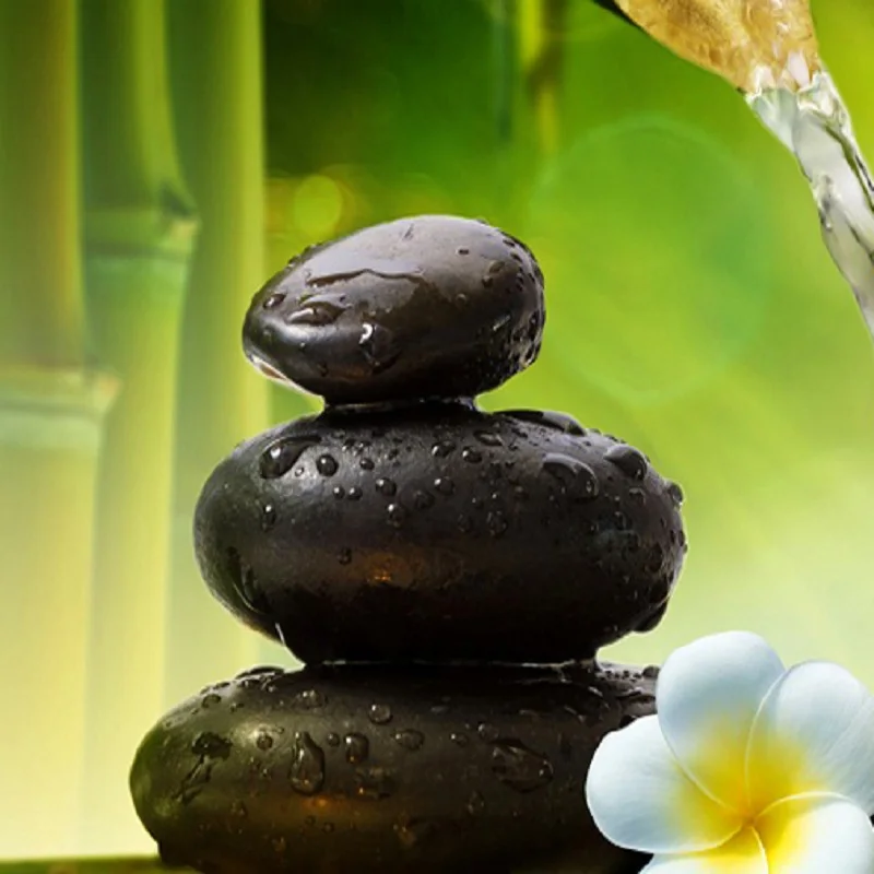 Пейзаж в японском стиле бамбуковые камни холст художественная живопись плакаты