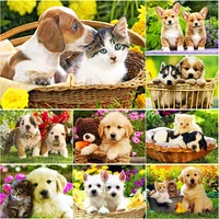new 5d diy animal diamond painting cats dogs diamond embroidery cross stitch full square round drill home decor manual art gift