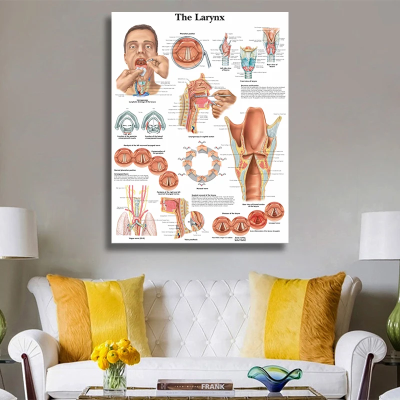 Анатомические таблицы с принтом в виде ларинкса настенный постер для гостиной