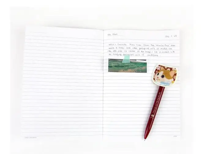 А5 милый мультяшный кот ноутбук 80р корейская мода подкладка Бумажная книга |