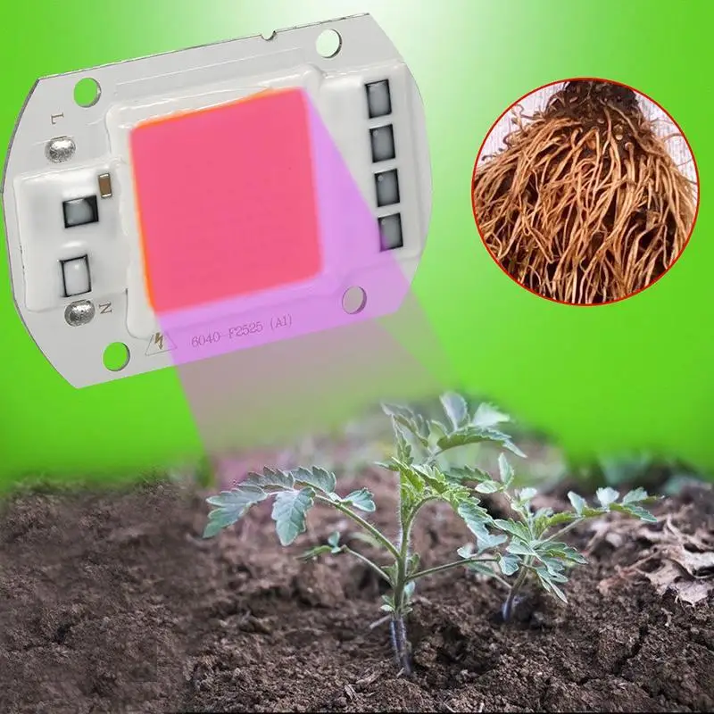 

[Распродажа] 110 В/220 В 20 Вт/30 Вт/50 Вт полный спектр LED COB чип освесветильник для выращивания растений лампа