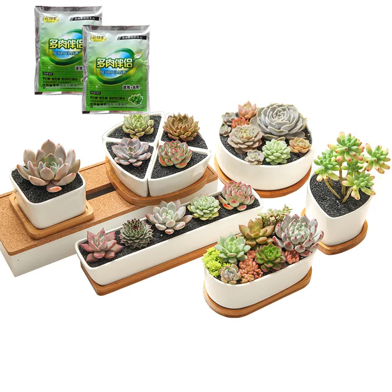 Комплект из 2 предметов сочные специальное удобрение Орхидея бонсай растения Еда