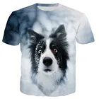 Футболка Border Collie для мужчин и женщин, футболки с 3D принтом, Повседневная футболка в стиле Харадзюку, уличные Топы