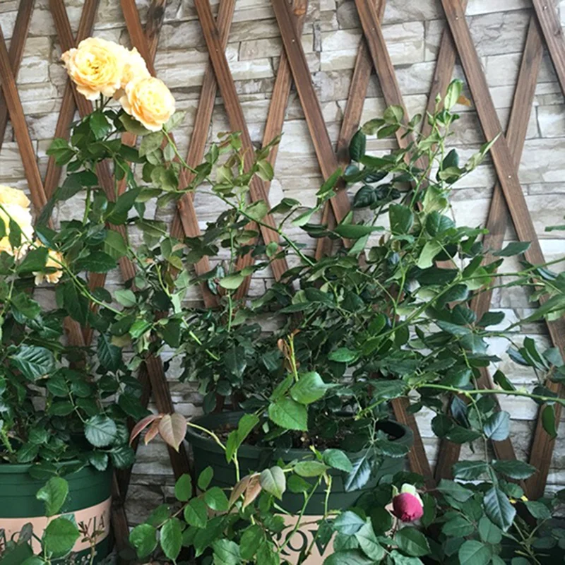 Расширяющийся деревянный садовый настенный забор панель для растений подъемная