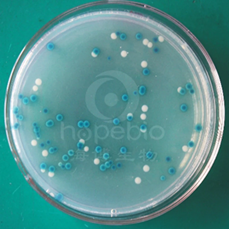 1000 мл Coliform хромогенная среда|Центрифужные трубки| |