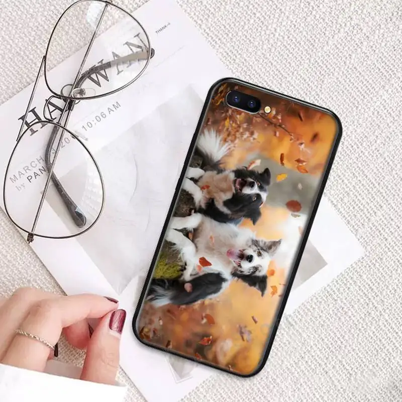 

Border Collie Dog Breed Phone Case For OPPO R9 R11 R15 R17 RENO Realme S PLUS Normal 2z 3 5 C2 pro
