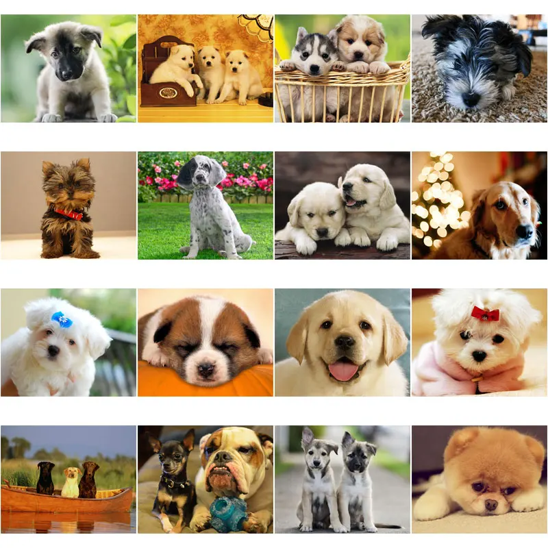 Алмазная картина с изображением щенка милое животное домашнее украшение