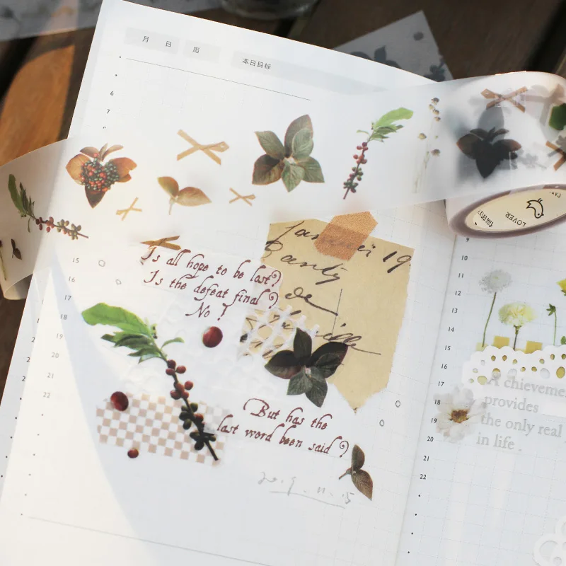 Ретро прозрачный натуральный растительный набор декоративного скотча Васи