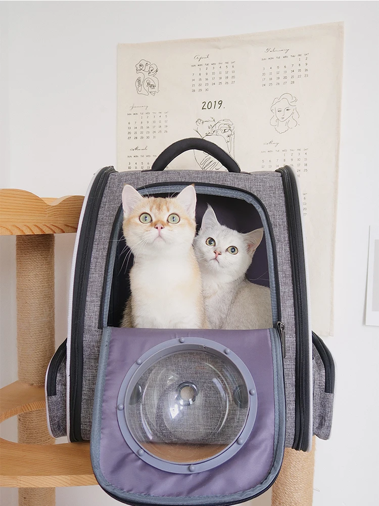 Большой рюкзак для домашних животных Тедди сумка переноски роскошная нагрудная