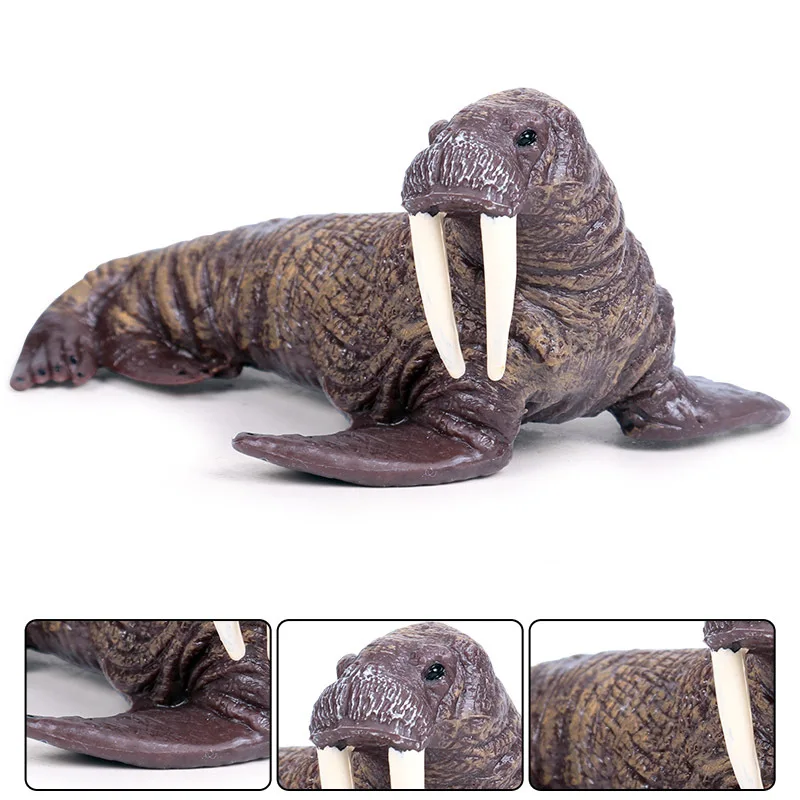 

11*9.5*5.5cm Children solid simulation marine animal toy model new walrus marine life model For Holiday Gifts
