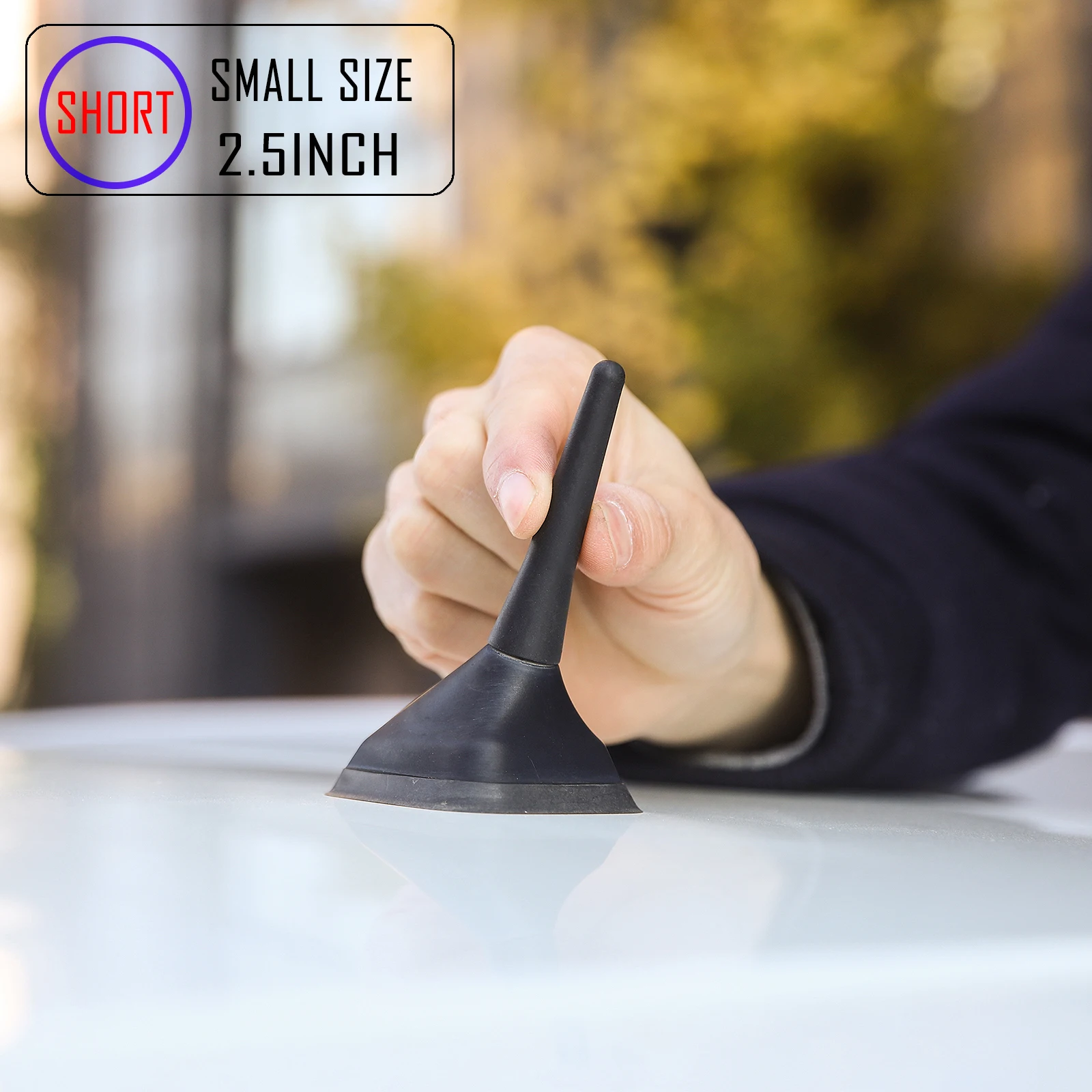 Антенна на крышу для пикапа Ford Ranger- Thunder Raptor Sport Special Edition