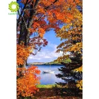 Алмазная картина 5D с изображением домашнего животного, пейзажа, цветов, 24 узора, настенная наклейка, мозаика, алмазная вышивка