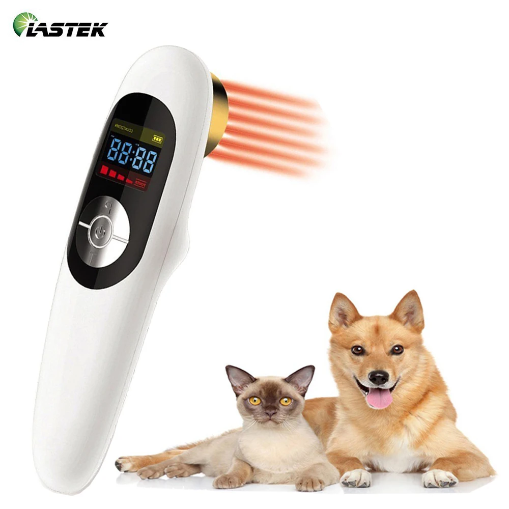 Ветеринарное использование домашние животные Собака Кошка Лошадь клиника ран