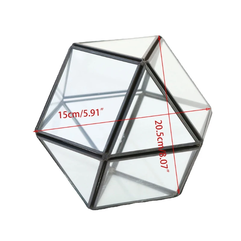 

Succulent Terrarium Container Decorative Plant Glass Cube Geometric Decor Planter for Succulent Holder Display Storage Box