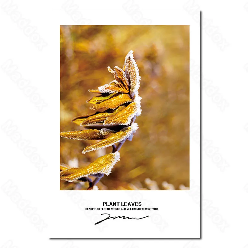 

Waterproof Ink Autumn and Winter Scenery Beautiful Mural Bedroom Living Room Dining Room Frameless Canvas Printing Mural