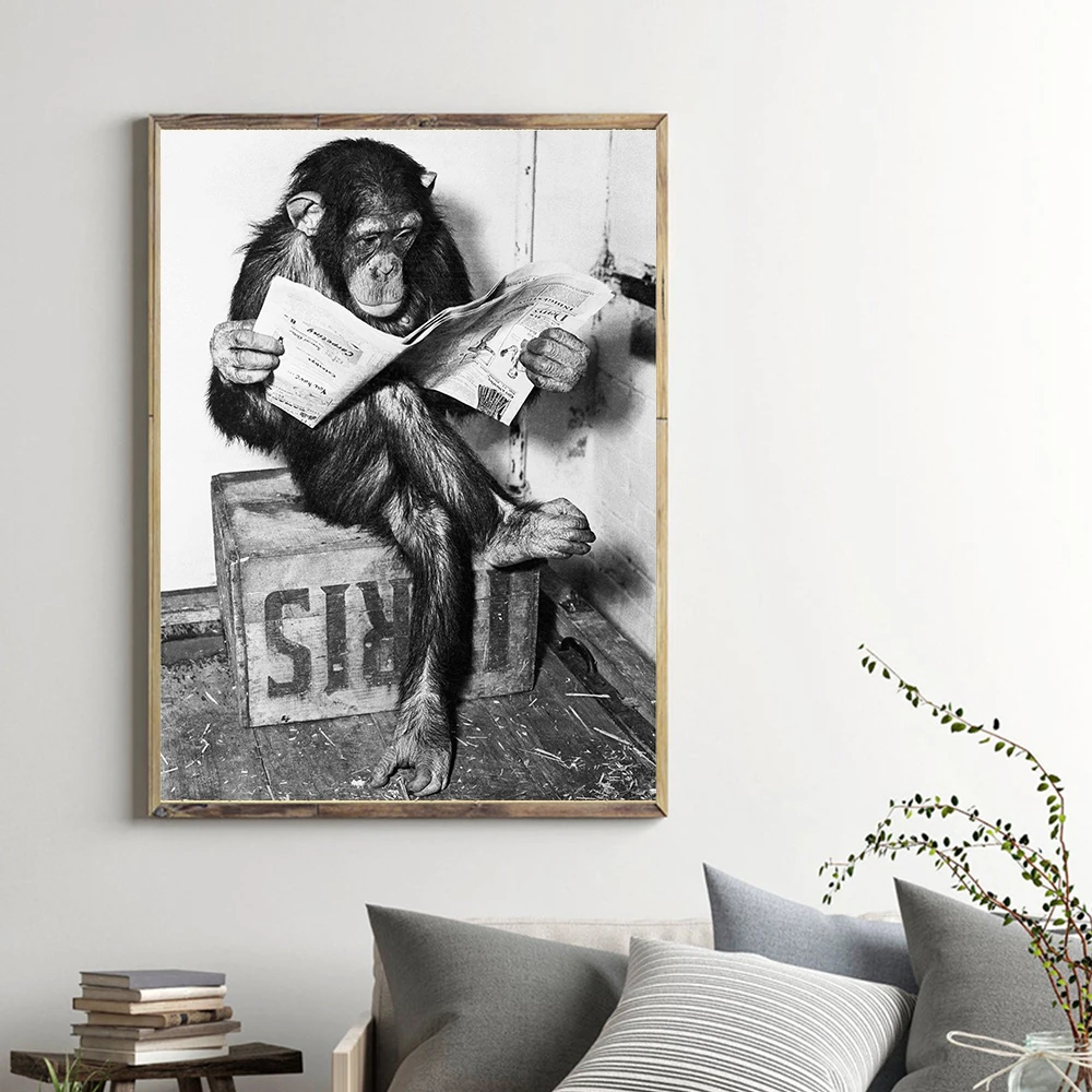 Черно-белая забавная обезьяна газета игра в шахматы Постер и печать Северная