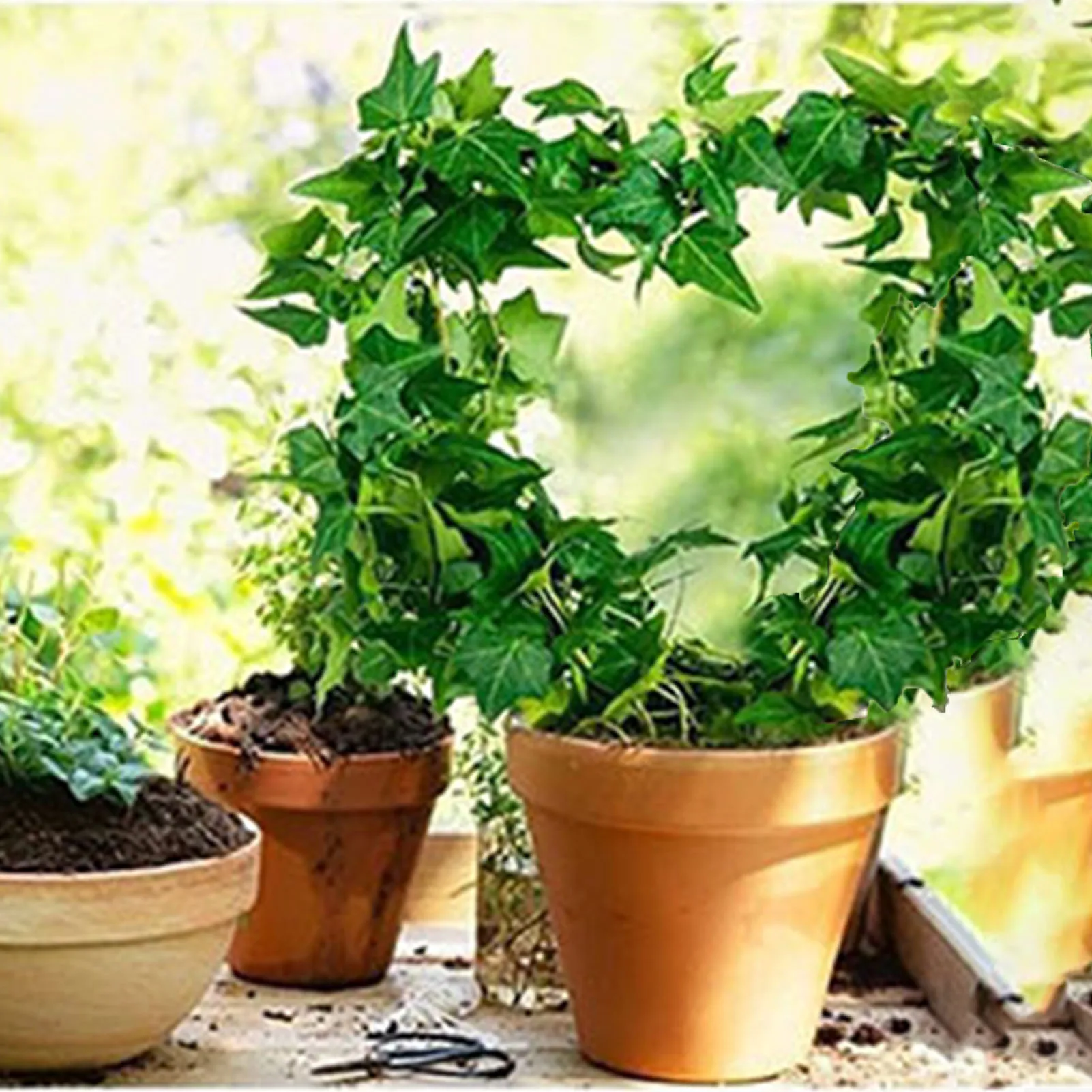 2 шт. металлические садовые решетки для верхолазных работ с красивыми растениями