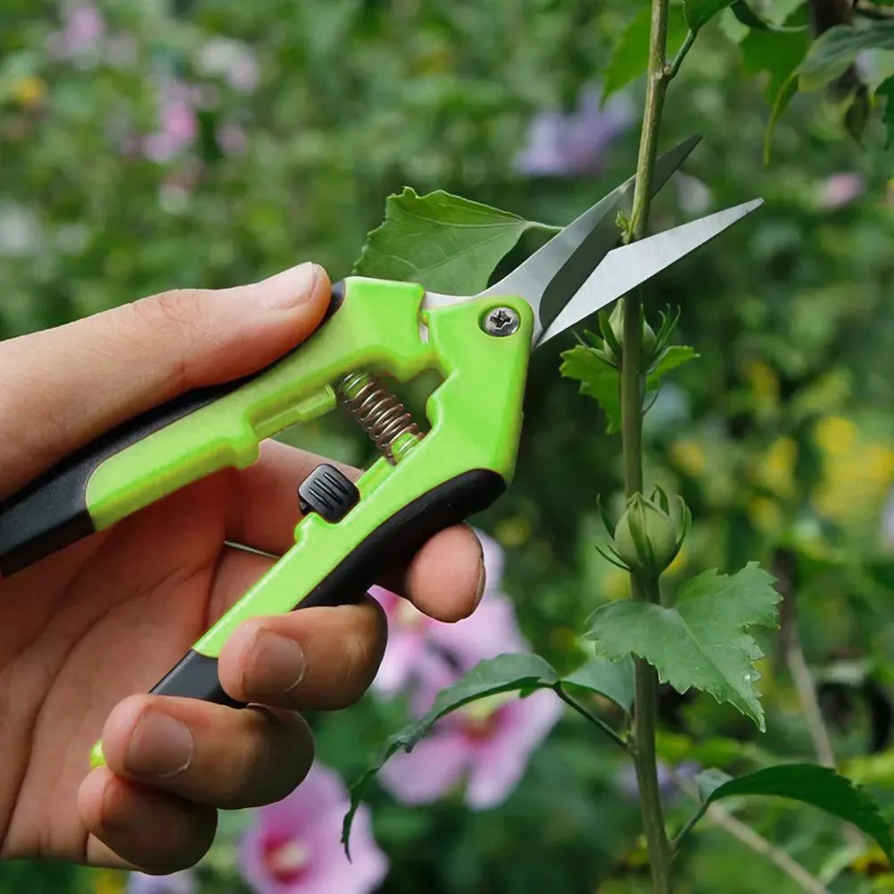 

Garden Pruning Shears Stainless Steel Pruning Tools Garden tools Scissors Cutter Fruit Picking Weed Home Potted Branches Pruner