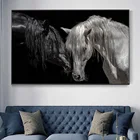 Африканская пара животных черная белая лошадь холст картины животные фотография стены картины для гостиной украшение для дома