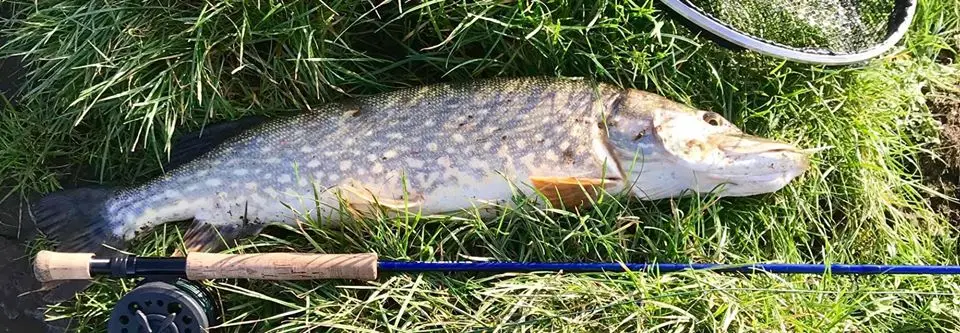 Maximumcatch Хищник 9FT морская муха Удочка 30 т SK углеродное волокно 8wt/9wt/10wt/12wt 4 шт. Удочка с Cordura Rod Tube