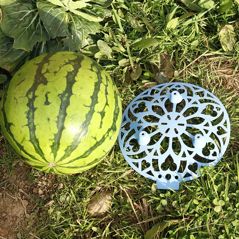 

10 PCS Melon Squash Cradle Reusable Plant & Garden Support Rack Avoid Ground Rot Protects Large Cane Vine Fruit VJ-Drop