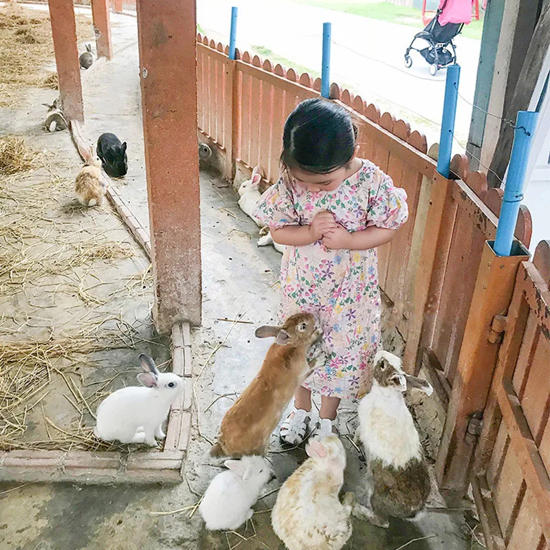 Летнее платье для девочек в японском и корейском стиле милое пасторальном с