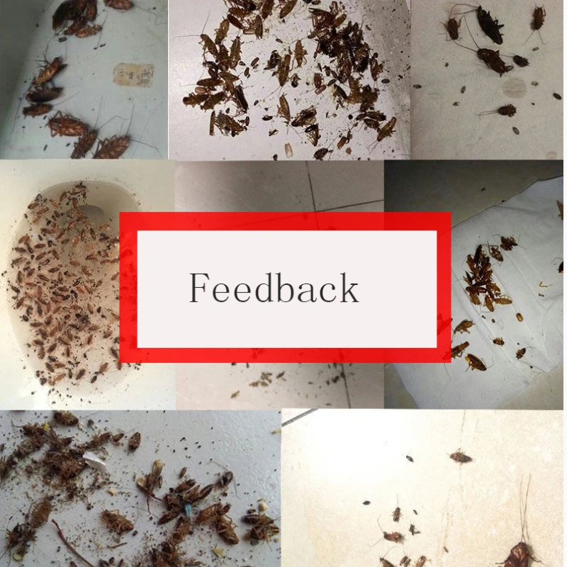 

5/10PCS Cockroach Killer Powder Cockroach Medicine Household Non-toxic Cockroach Killing Bait Powder Special Insecticide Bug