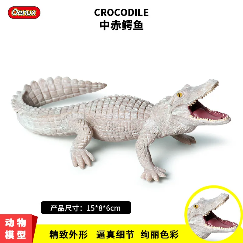 

15*8*6 ; Zhongchi