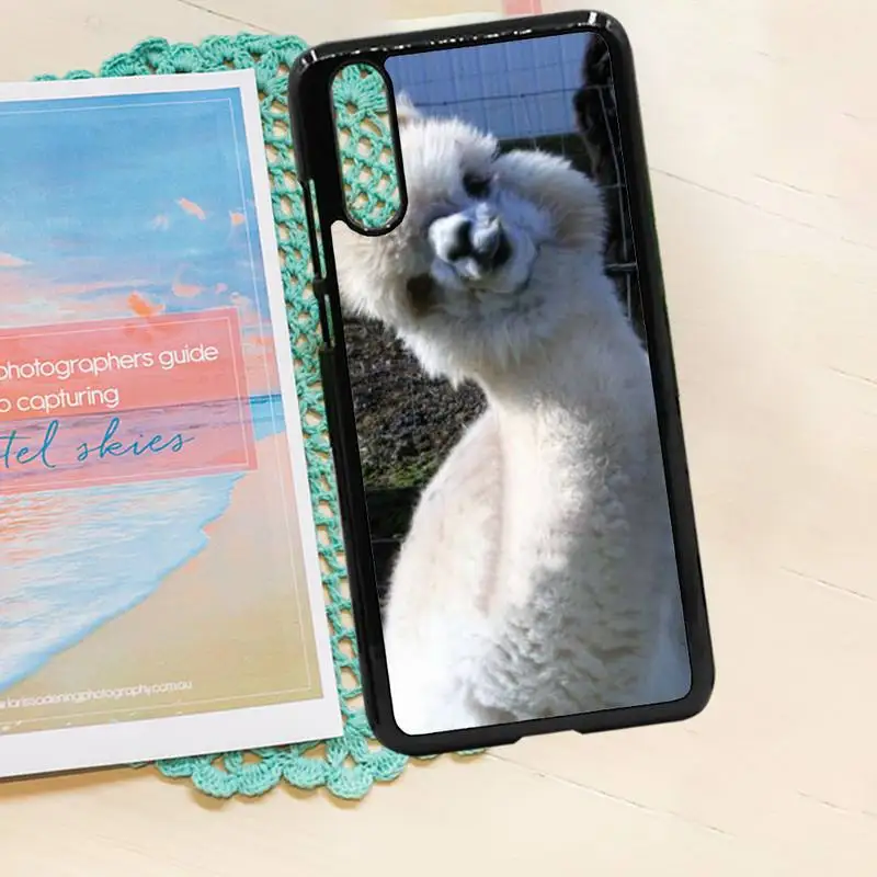 

cute Lama Llama Alpacas Animal Phone Case PC for iPhone 11 12 pro XS MAX 8 7 6 6S Plus X 5S SE 2020 XR