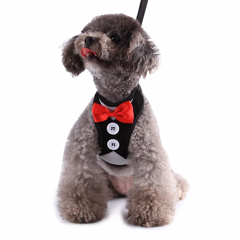 

2021 wholesale dog chain dress cat chain vest type pet leash small and medium-sized dog pet dog supplies teddy rope