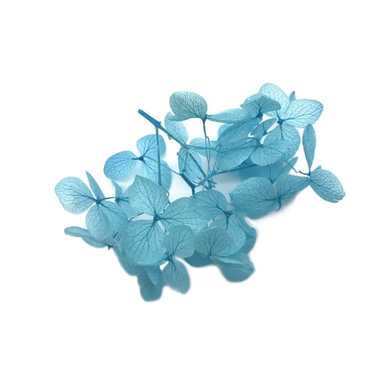 1 коробка сухой цветок Сделай Сам изделия из эпоксидной смолы ручной работы наполнитель сухоцветы время изготовление каменных ювелирных изделий стол Decoratio