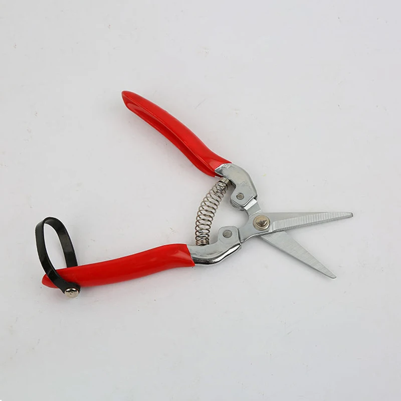 

Stainless Steel Tree Pruning Garden Shears Grass Fruit Cutter Gardening Scissors Branch Pruners HFD889