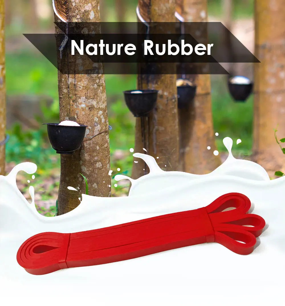 Комплект эспандеров для занятий спортом эластичная резиновая петля пилатеса