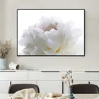 Аннотация Белый цветок картина HD печатает и постеры на холсте современный завод настенные картины для Гостиная украшение дома