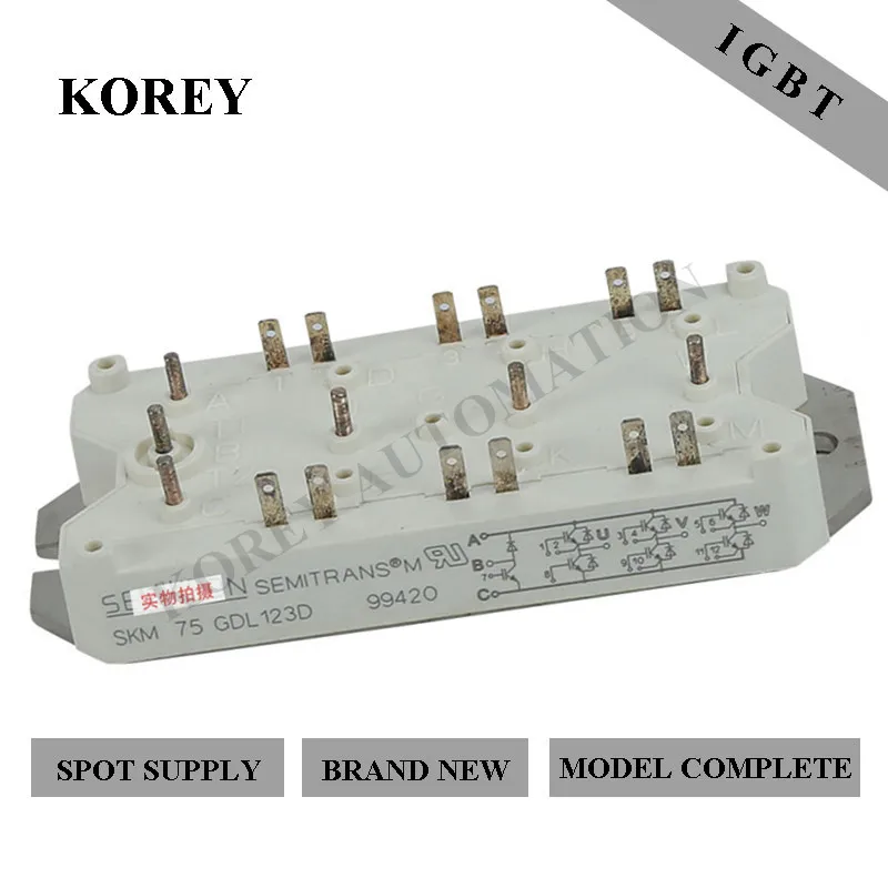 

In Stock Semikron IGBT Module SKM40GDL123D SKD100GA123DGAL