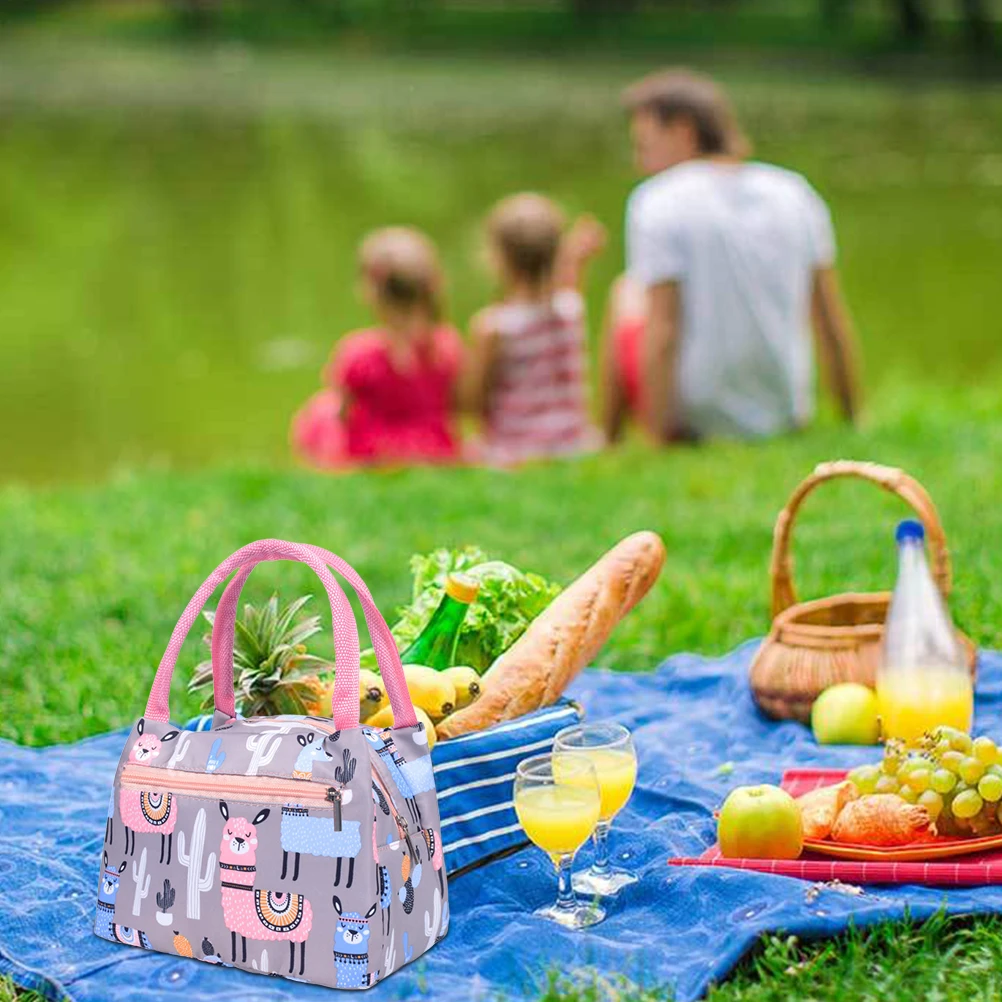 Термальность сумка для обеда Для женщин Еда свежий ланча напиток пикника