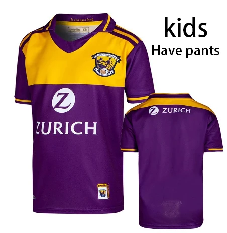 

2021 Wexford Jersey Kids Children's Wear Stripe Hurling Embroidery Home Sport Shirt Size 16-26