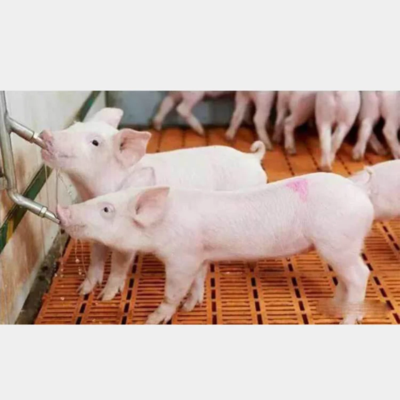 3 шт автоматическая машина для сосков поилка свиней Многофункциональный