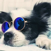 small dogs sunglasses cats glasses products for pet supplies photos props accessories akcesoria dla psa gafas perro dla psa