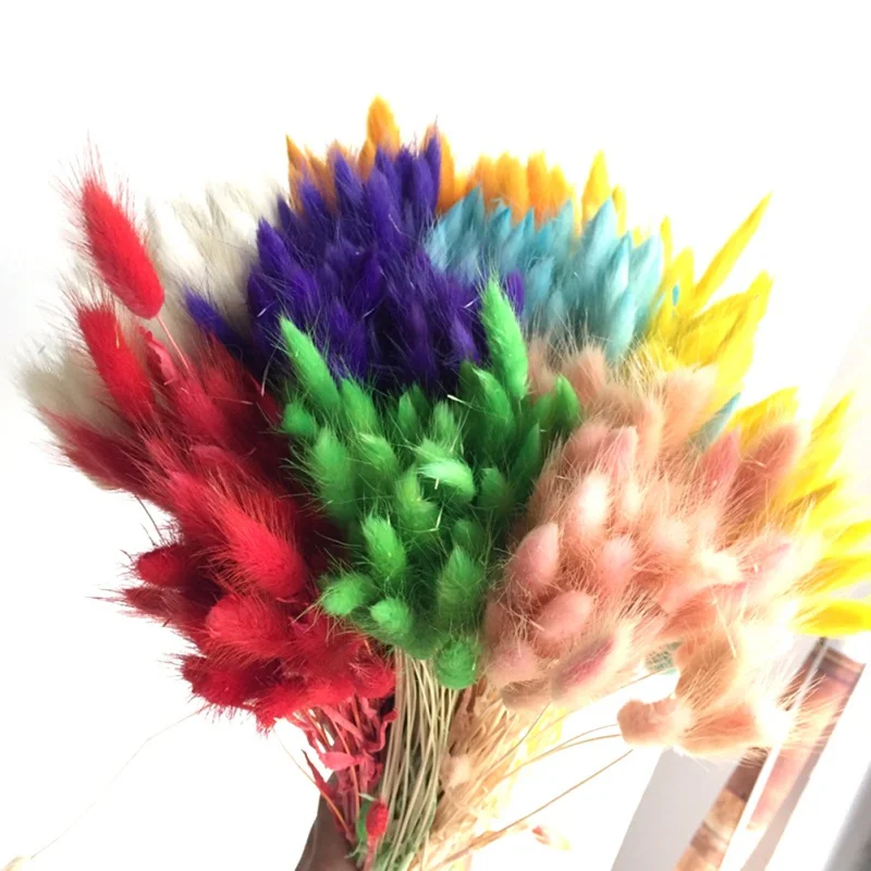 30 шт./лот натуральный кроличий хвост трава сушеные цветы украшение для