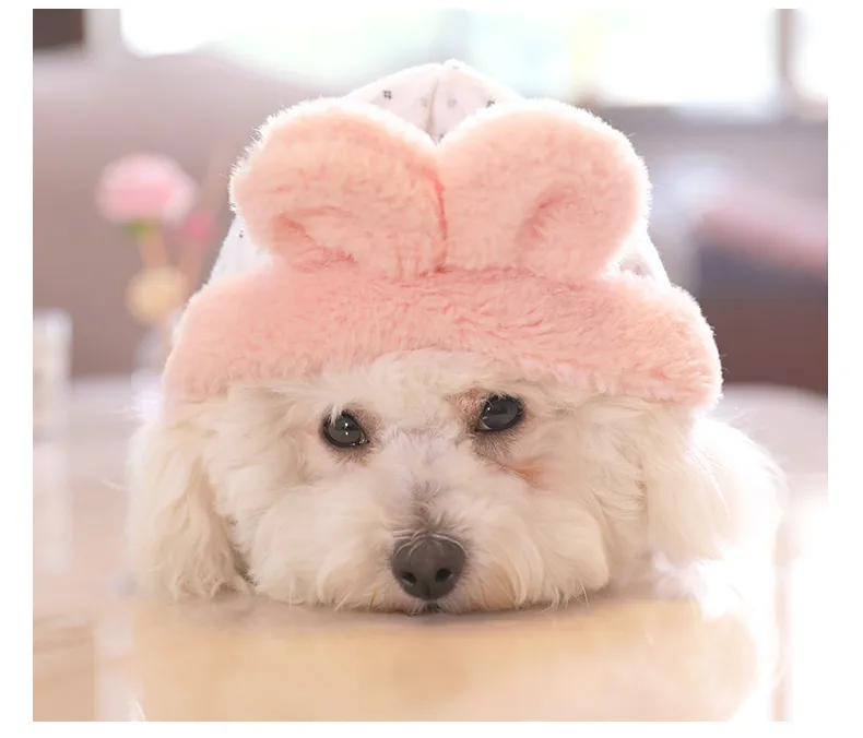 Hoopet Pet Puppy милая накидка для собаки теплый флис Осень/Зима бишон фризе Мишка, собака, кошка костюмы одежда