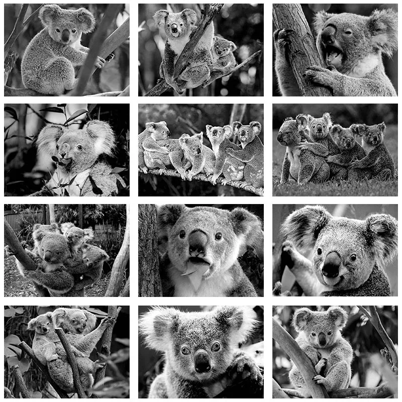 

Diamond Painting 5D Diamonds DIY Koala-Animals Cross Stitch Full Square Round Embroidery Colorful Handmade Home Room Wall Decor